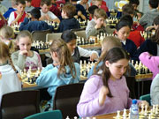 打爆别人手机号的软件